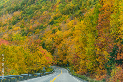 Autumn Colors in Forest, Drone view of Cape Breton Island, Forest Drone view, Colorful Trees in Jungle, Forest Drone View, Island Drone view, Autumn Colors in Jungle, Mountain Landscape Fall Colors
