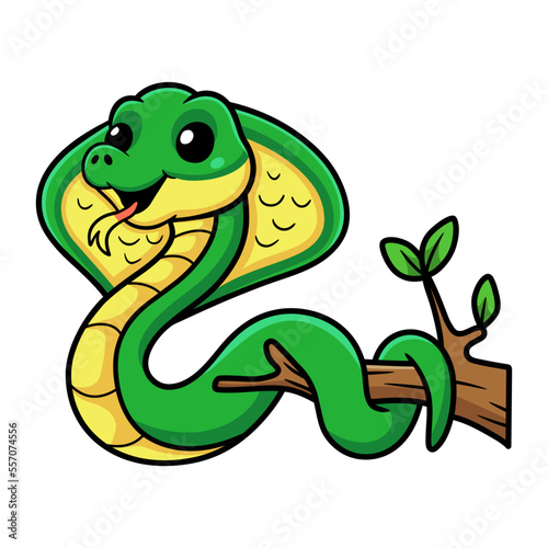 Cute little cobra snake cartoon on tree branch