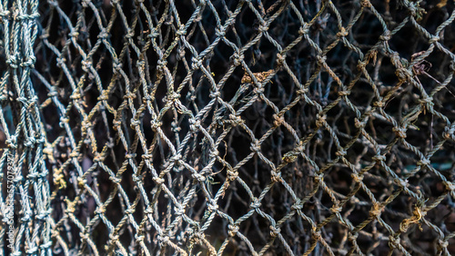 fish mesh texture as background