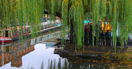 Willow Tree  At Camden Lock With People Hanging Out On The Canalside Of Regent's Canal Afterwork In London, UK. - wide photo