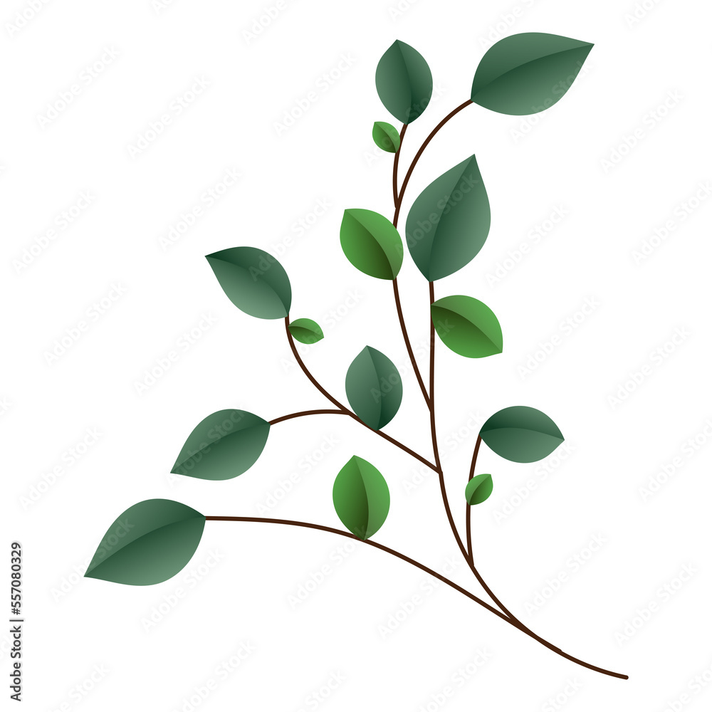 Green leaves and branches .isolated on white background ,Vector illustration Green leaves and branches .isolated on white background ,Vector illustration