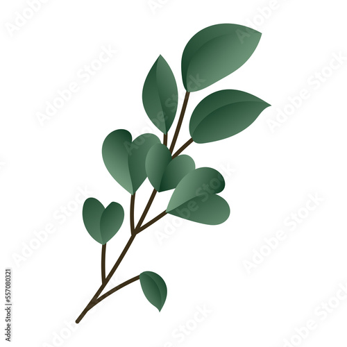 Green leaves and branches .isolated on white background ,Vector illustration