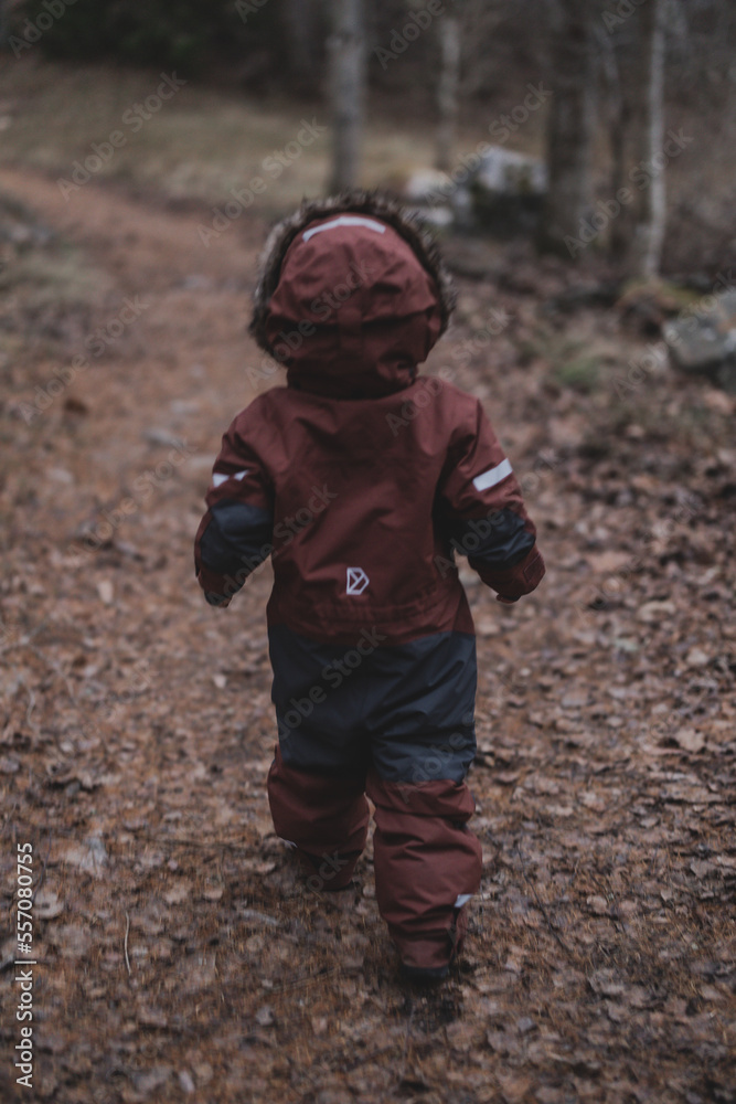 little child walking in forest little child walking in forest