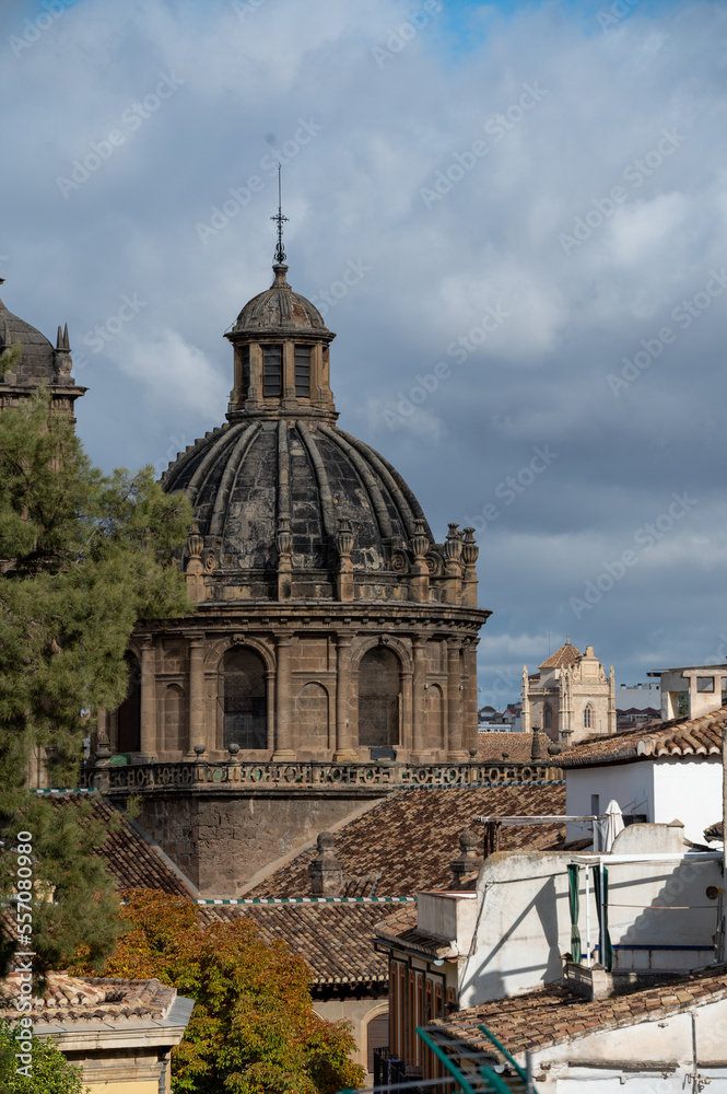 View of the beautiful Catedral de Granada.in 2022.