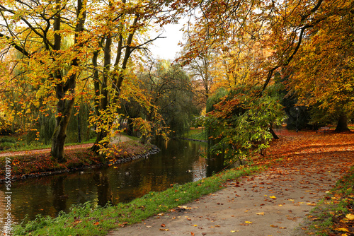 Beautiful park with yellowed trees and river