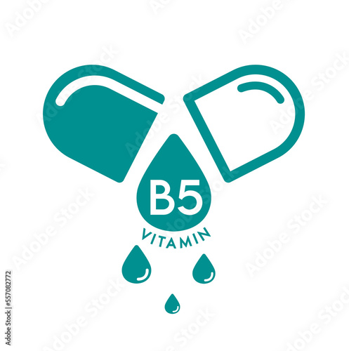 Vitamin B5 icon in capsule green form simple line isolated on a white background. Design for use on web app mobile and print media. Medical symbol concept. Vector EPS10 illustration.