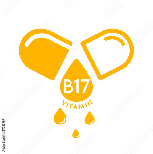 Vitamin B17 icon in capsule orange form simple line isolated on a white background. Design for use on web app mobile and print media. Medical symbol concept. Vector EPS10 illustration.
