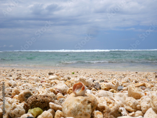 Background beach atmosphere with colorful coral, seashells and pebbles