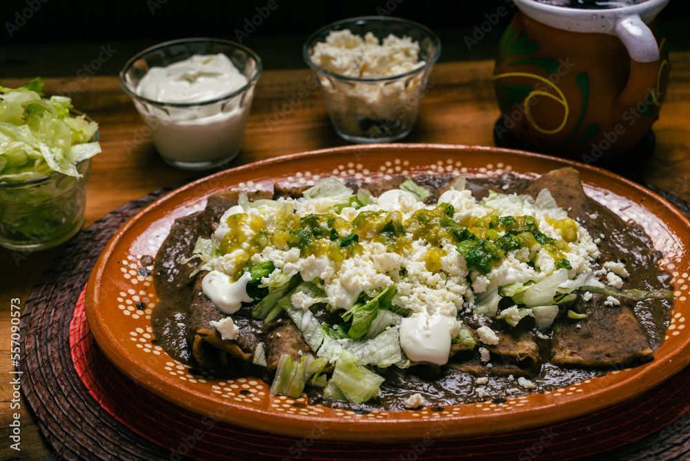 Enfrijoladas served in a clay dish. Typical Mexican food. Bean tacos with cream and cheese. Enfrijoladas served in a clay dish. Typical Mexican food. Bean tacos with cream and cheese.