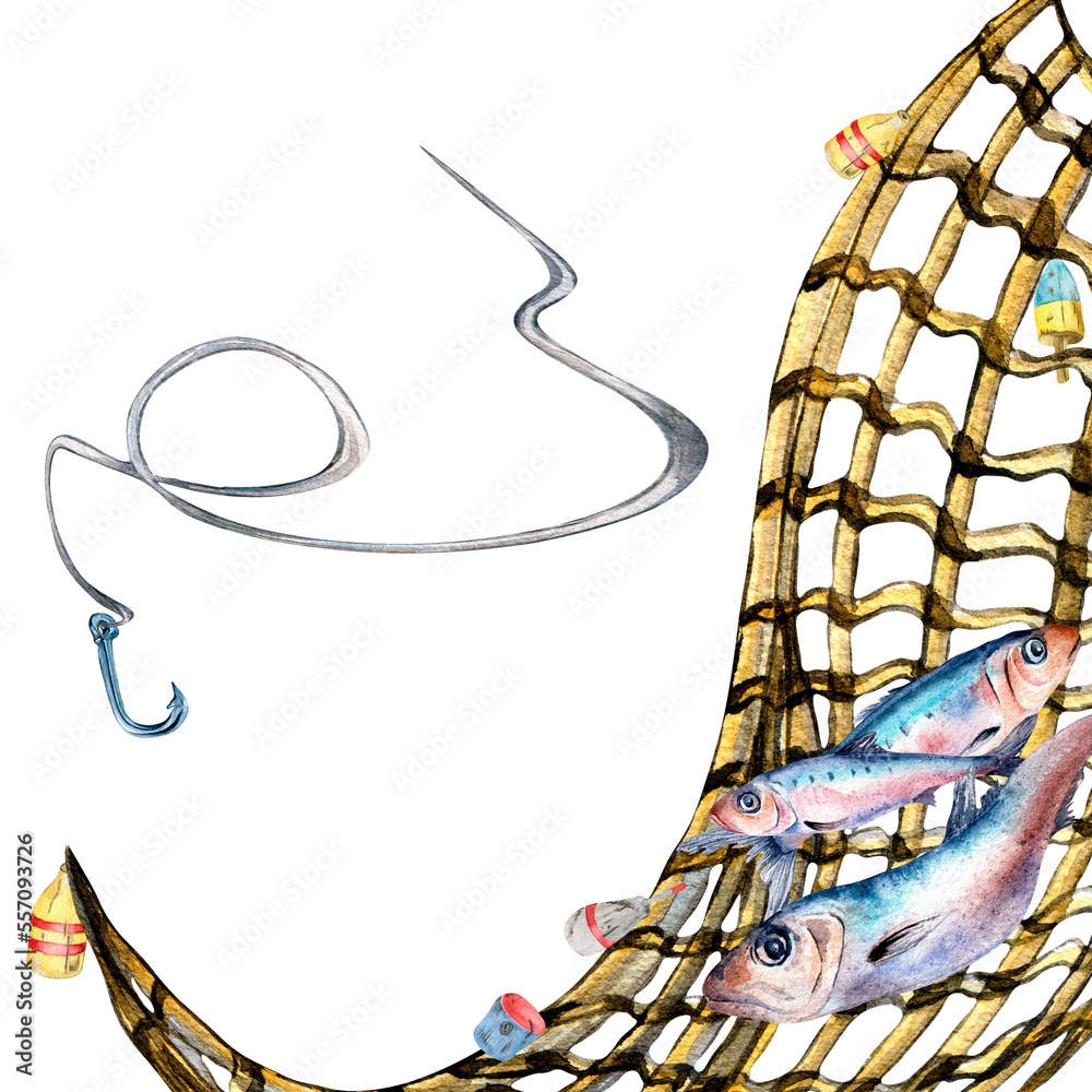 Composition of sardines and watercolor illustration isolated on
