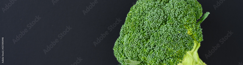 Fresh broccoli head with leaves on a black background, fresh, healthy, raw green superfood
Fresh broccoli head with leaves on a black background, fresh, healthy, raw green superfood