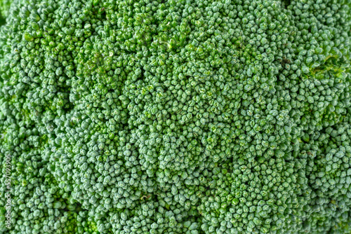 Nutritious, healthy, fresh raw broccoli crown in closeup as a macro background 