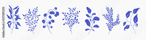 Fototapeta Naklejka Na Ścianę i Meble -  Set of greenery silhouette floral branch, leaf, plants. Botanic delicate blue foliage leaves. Hand drawn vector illustration