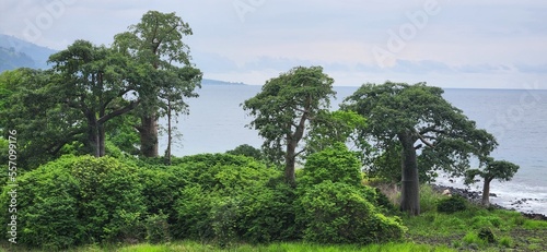 Breathe taking view from Sao Tome Island