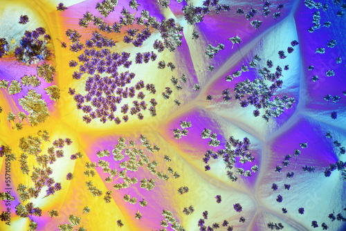 Colorful micro crystals in polarized light. Photo through a microscope