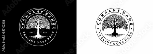 Tree of life oak banyan leaf and root seal emblem stamp logo design inspiration 