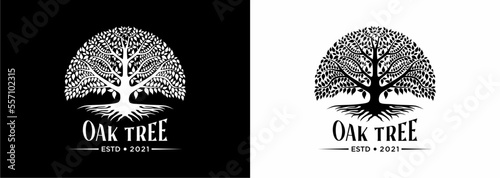 Tree of life oak banyan leaf and root seal emblem stamp logo design inspiration 