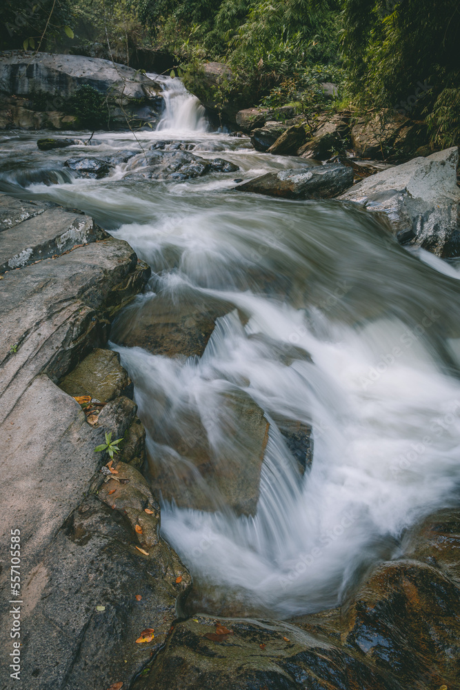 Naklejka premium waterfall in the forest