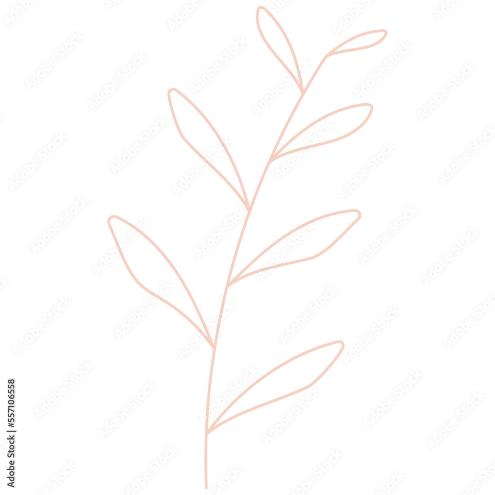Obraz premium Hand drawn plant outline stroke