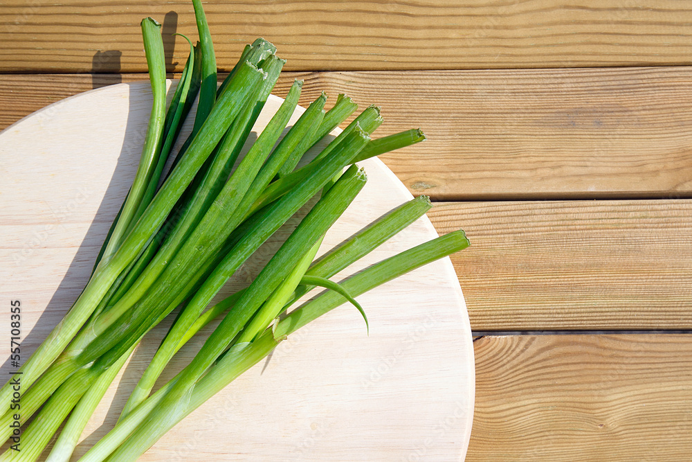 Spring onions flat lay on a plate. Also known as Scallions are vegetables drivied from the genus Allium. Milder to the taste than onions or garlic. Spring onions flat lay on a plate. Also known as Scallions are vegetables drivied from the genus Allium. Milder to the taste than onions or garlic.