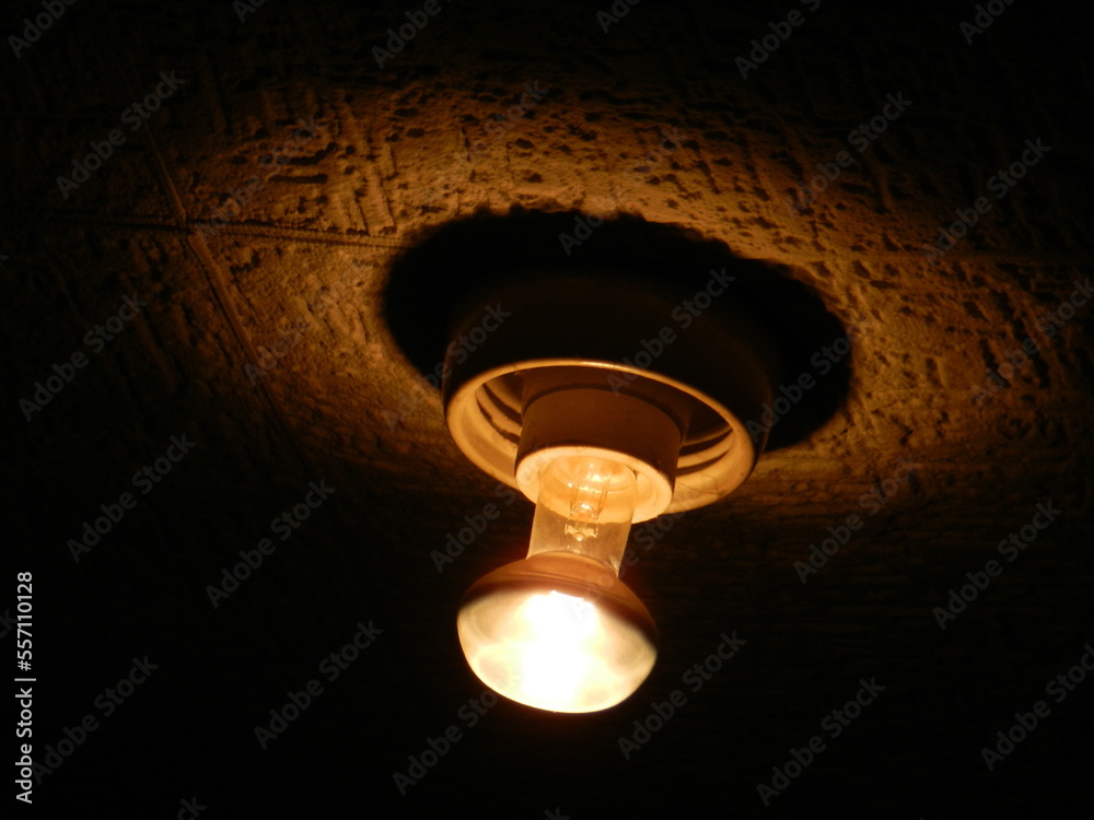 light bulb light bulb