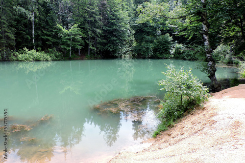A view of an azure lakelet among trees in Rudawy Janowickie, Sudetes mountains, Poland