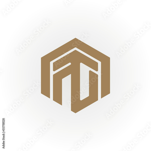 Abstract initial letter TN or NT logo in gold color isolated in white background applied for news network logo also suitable for the brands or companies have initial name NT or TN.