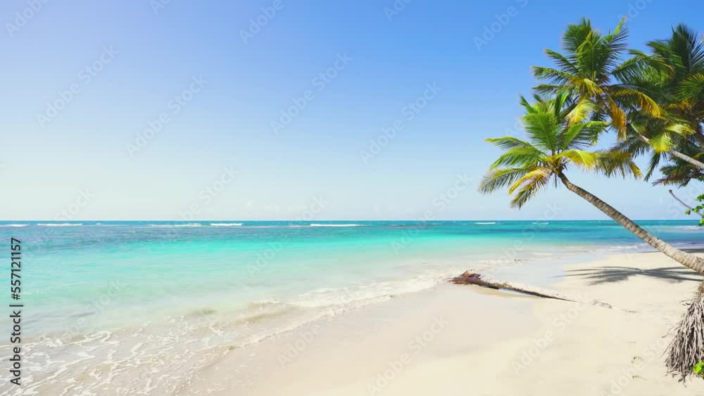 Beautiful empty Bahama beach with white sand and colorful palm trees. Turquoise sea and white sand on the background. Palm trees rest over blue sea water. Landscape nature of a tropical island. Beautiful empty Bahama beach with white sand and colorful palm trees. Turquoise sea and white sand on the background. Palm trees rest over blue sea water. Landscape nature of a tropical island.