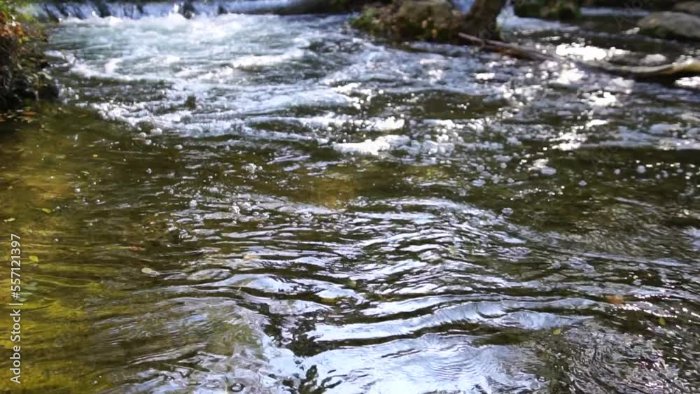 Closeup of a rushing stream, swift flow of spring water with some autumn colourful leaves in the water. Grey big stones, fallen autumnal leaves. Waterfall at fall. Nature's landscape. Slow motion Closeup of a rushing stream, swift flow of spring water with some autumn colourful leaves in the water. Grey big stones, fallen autumnal leaves. Waterfall at fall. Nature's landscape. Slow motion