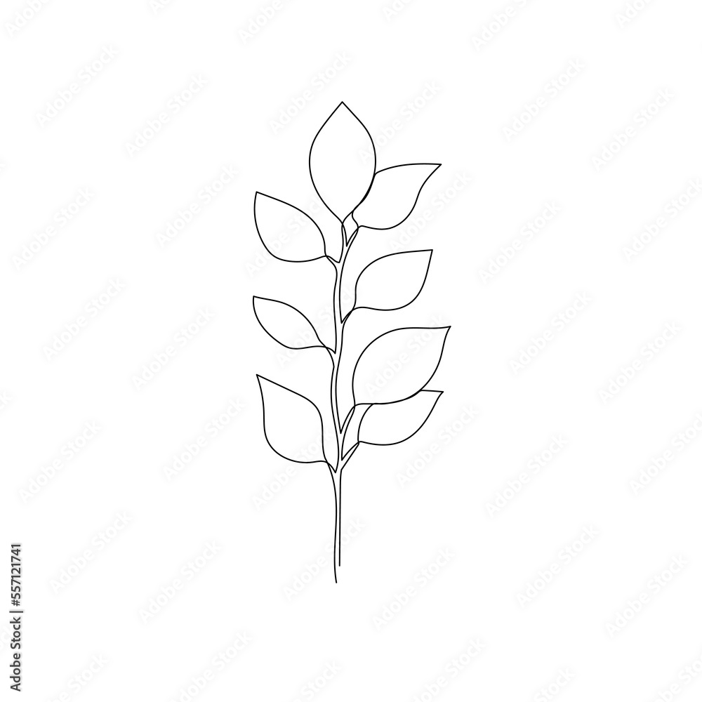 Fototapeta premium Outline plant eucalyptus leaf. One continuous line art decorative plant leaf. Editable stroke eucalyptus foliage floral element. Isolated vector illustration