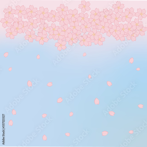 淡い色の桜の花の背景素材