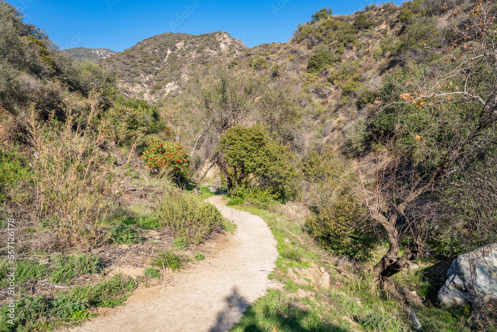 A hiking trail through Bailey Canyon in Southern California
