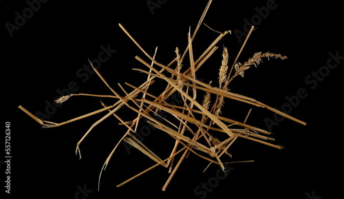 Pile straw isolated on black background and texture, top view