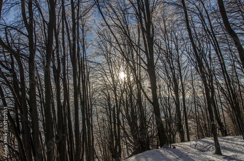 Fototapeta Naklejka Na Ścianę i Meble -  Bieszczady zimą