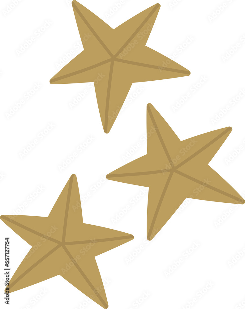 Obraz premium Christmas star