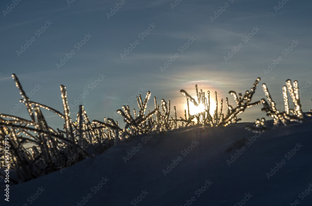 Zimowa panorama z połoniny Wetlińskiej 