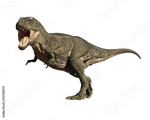 tyrannosaurus rex dinosaur © david