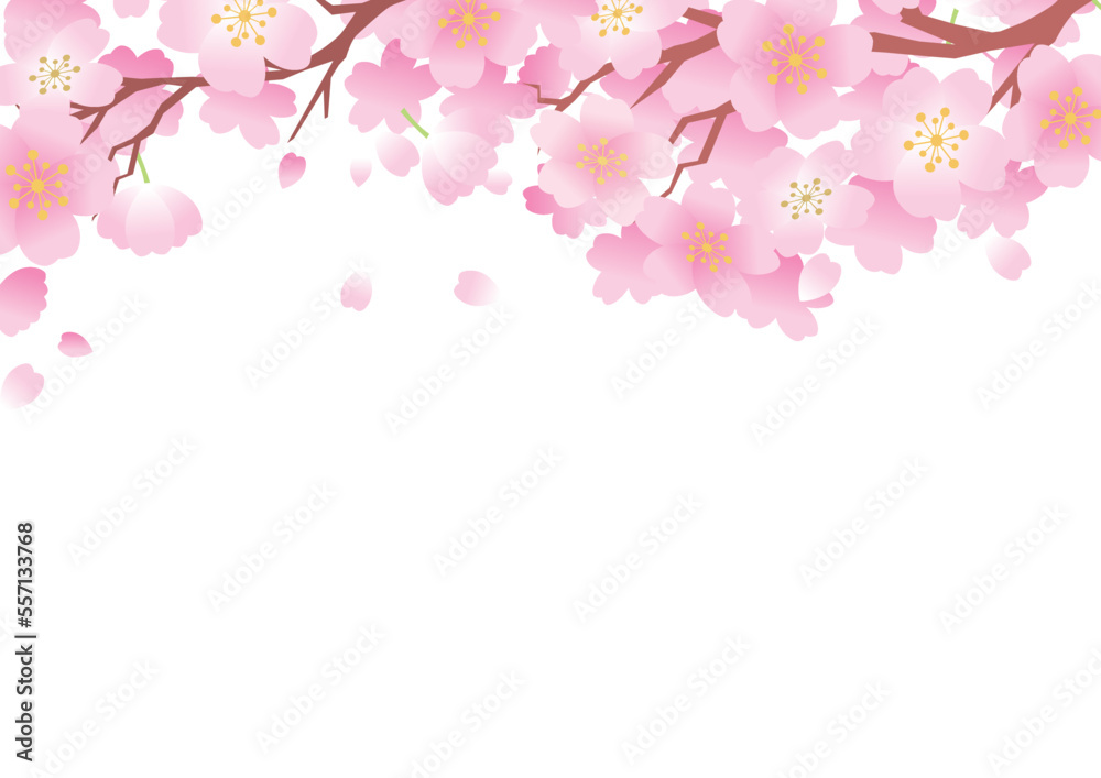 桜 春 花びら 背景 桜 春 花びら 背景