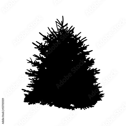 Conifer tree, manually traced and highly detailed vector silhouette