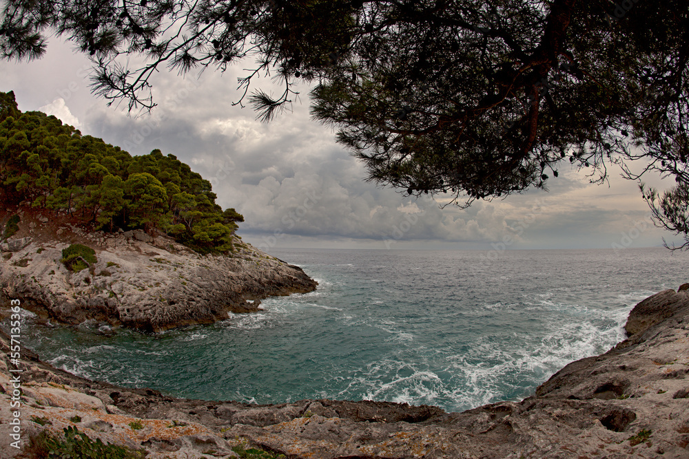 View from under a tree of a beach between rocks on a cloudy day. Tremiti Islands Italy View from under a tree of a beach between rocks on a cloudy day. Tremiti Islands Italy