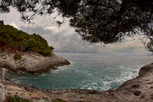 View from under a tree of a beach between rocks on a cloudy day. Tremiti Islands Italy