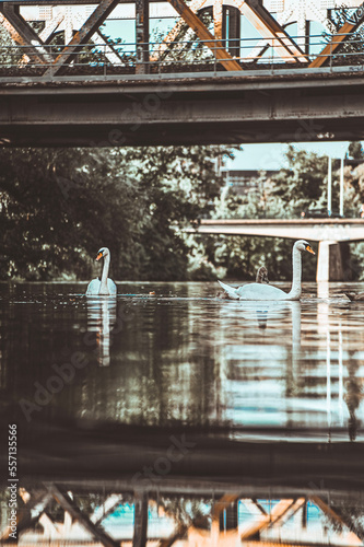 bridge over the river