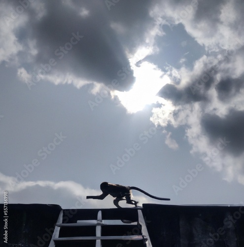 Abstract digital art photo of a monkey running on a wall with clouds above,