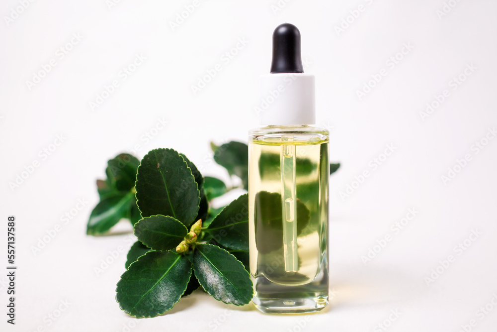 Close up of a glass bottle with essential oil and a suculent plant. White background. The concept of organic natural cosmetics Close up of a glass bottle with essential oil and a suculent plant. White background. The concept of organic natural cosmetics