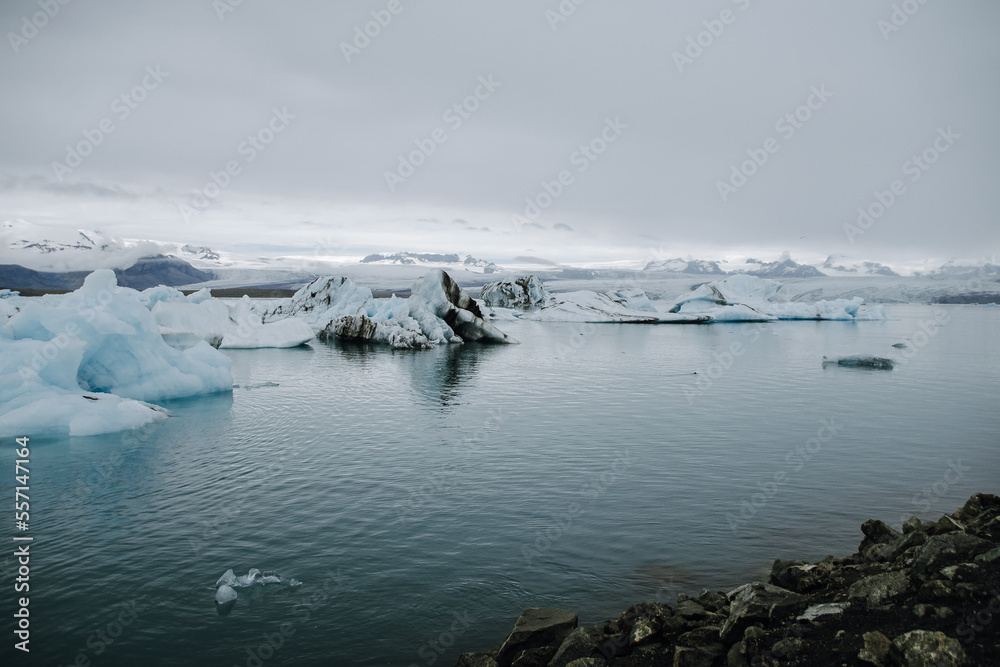 Fototapeta premium Many icebergs and ice floes in the glacial lagoon jökulsárlón in iceland, which has broken away from the glacier tongue breiðamerkurjökull. With a view of Hvannadalshnúkur in the background.