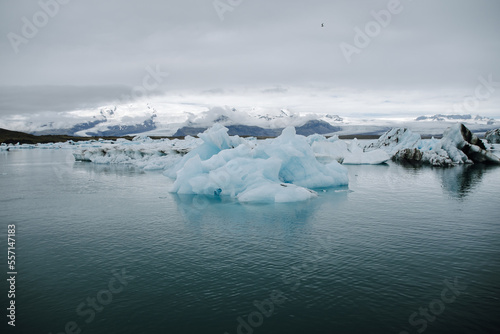 Single iceberg and ice floes in the glacial lagoon j  kuls  rl  n in iceland  which has broken away from the glacier tongue brei  amerkurj  kull. With a view of Hvannadalshn  kur in the background.