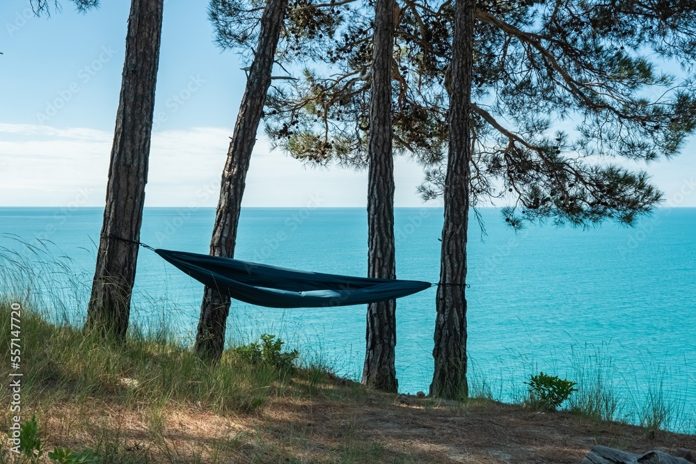 Empty hammock between palm trees on tropical beach. High quality photo Empty hammock between palm trees on tropical beach. High quality photo