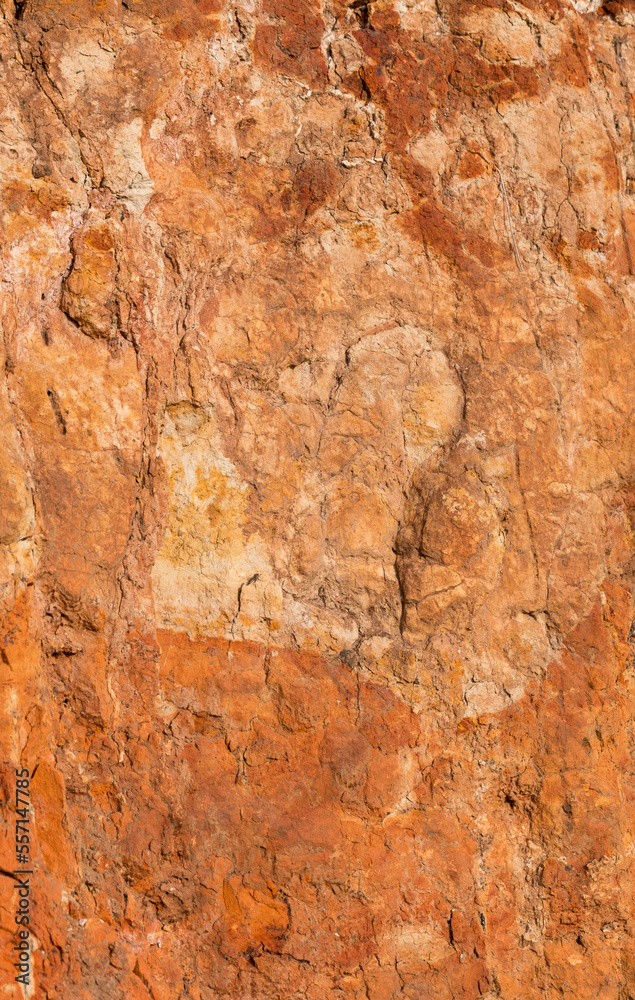 Sedimentary rocks with a high content of iron oxide. Red soil, loam. The texture of the soil. Sedimentary rocks with a high content of iron oxide. Red soil, loam. The texture of the soil.