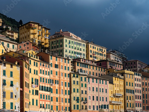 Waterfront buildings in Camogli town