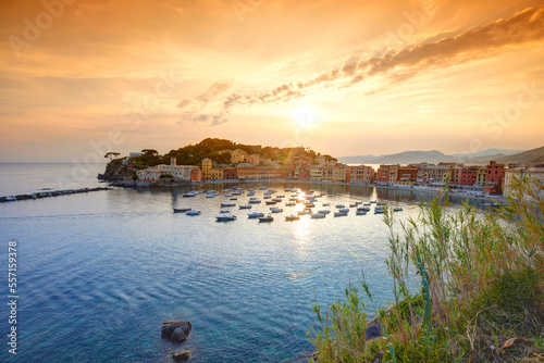 Silent bay at sunset  Sestri Levante  Italy